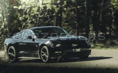 Ford Mustang GT - CarZoomers