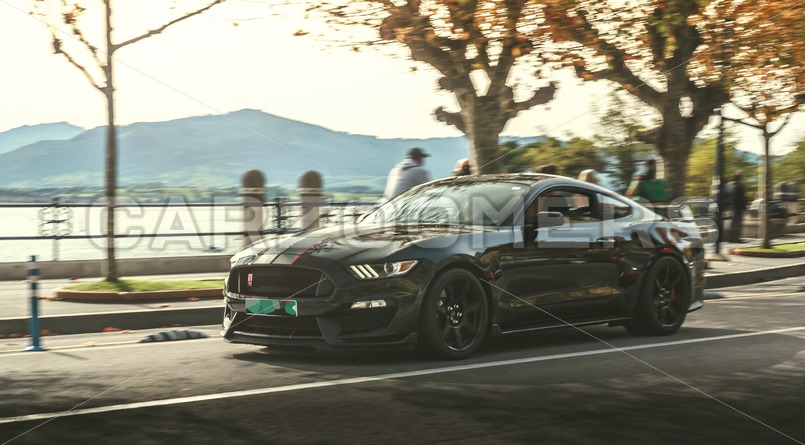 Ford Mustang Shelby GT350 - Carzoomers