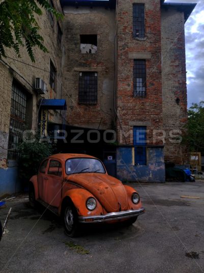 Old Volkswagen Beetle - Carzoomers