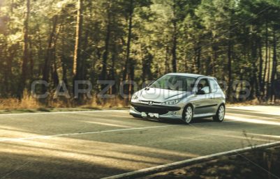 Peugeot 206 GTI - Карзумеры