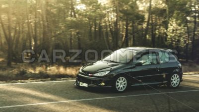 Peugeot 206 GTI - Карзумеры