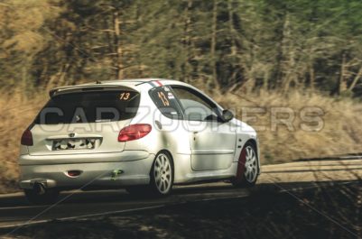 Peugeot 206 gti - КарЗумеры