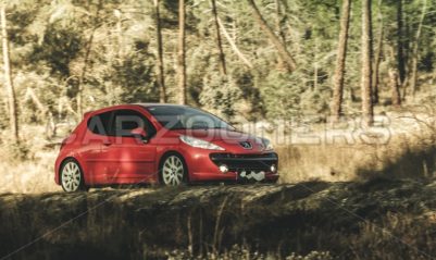 Peugeot 207 - CarZoomers