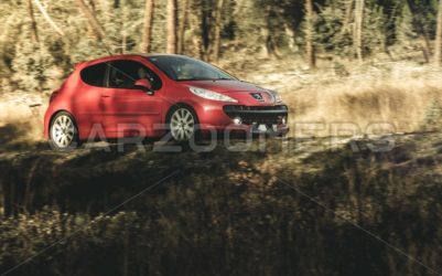 Peugeot 207 - CarZoomers