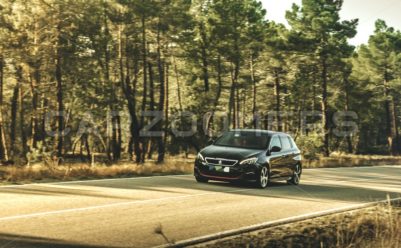 Peugeot 308 gti - Cartozoni