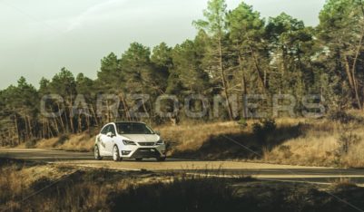 Asiento Ibiza - CarZoomers