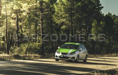 Seat Ibiza - CarZoomers